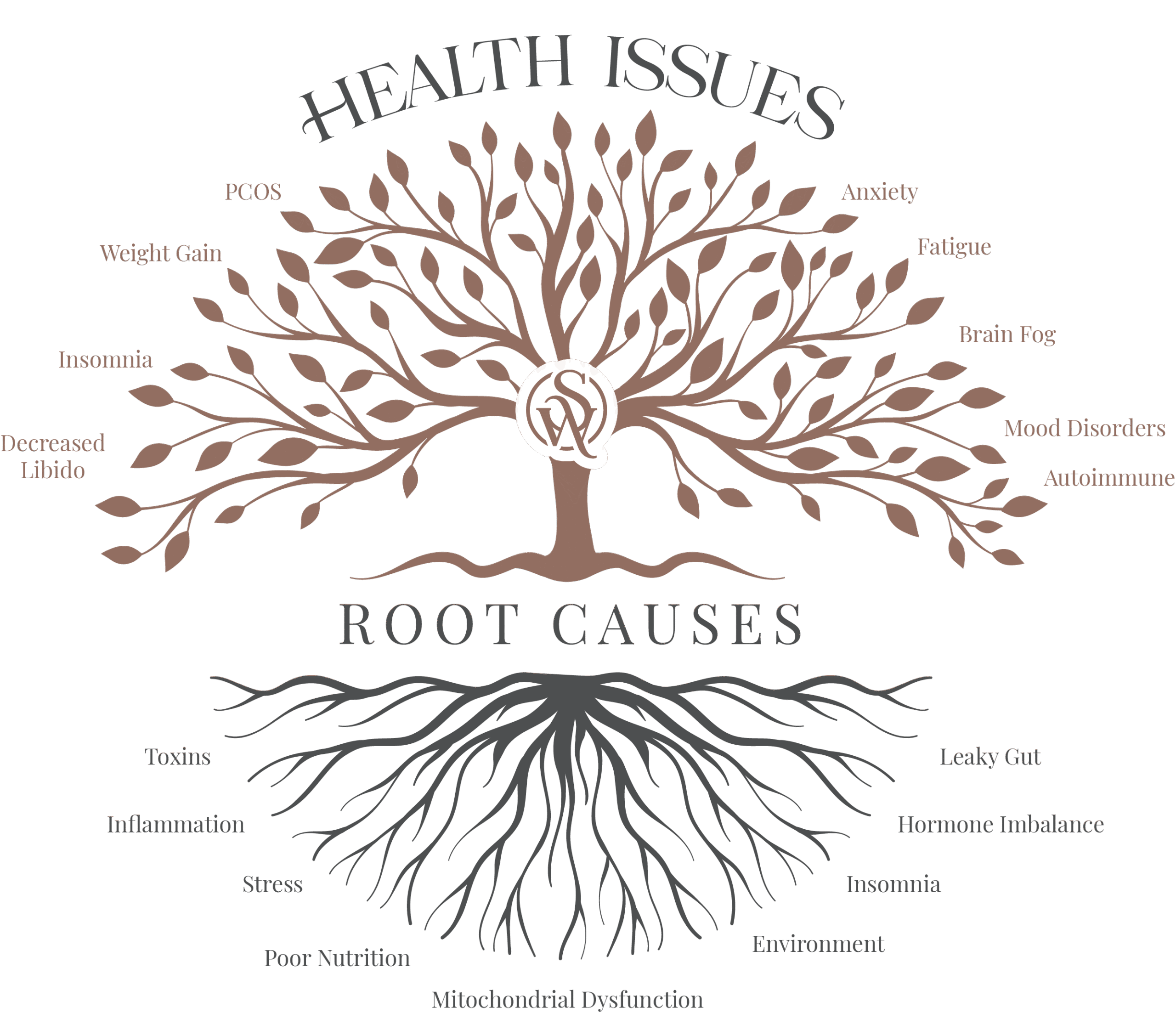 Functional Medicine health issues and root causes diagram